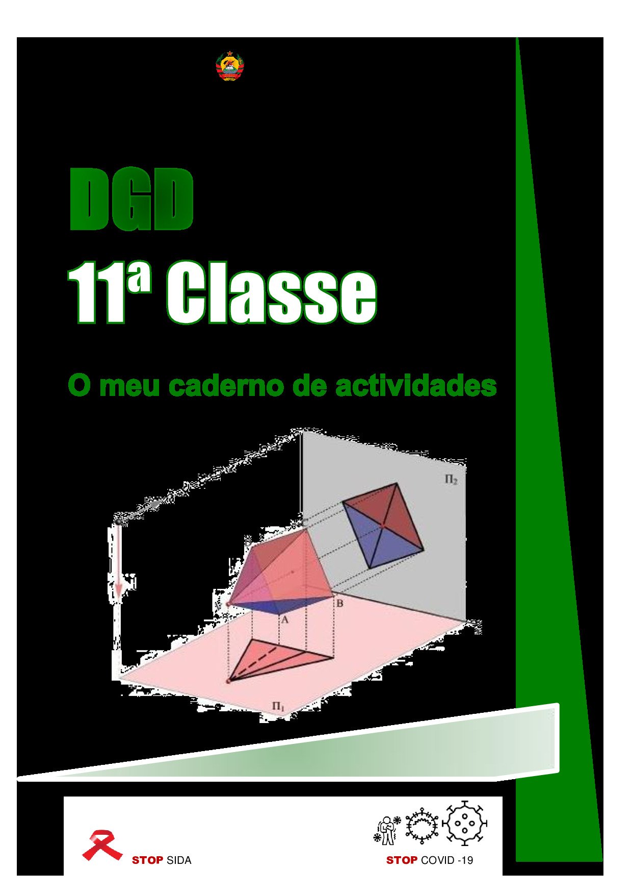 DGD da 11ª Classe (O Meu Caderno de Actividades - Moçambique; 2021) Baixar Livro em PDF
